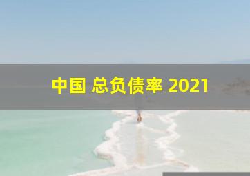 中国 总负债率 2021